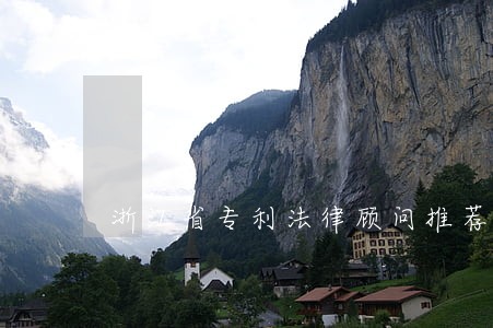 浙江省专利法律顾问推荐 浙江省专利法律顾问推荐