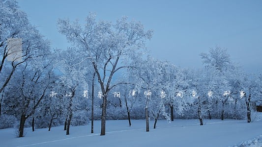 浙江省东阳律师咨询免费刑事 浙江省东阳律师咨询免费刑事
