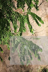 浙江省义乌市沈宇锋律师 浙江省义乌市沈宇锋律师