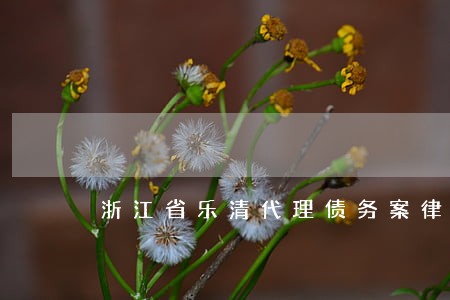 浙江省乐清代理债务案律师多少钱 浙江省乐清代理债务案律师多少钱