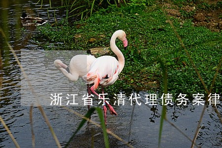 浙江省乐清代理债务案律师预约 浙江省乐清代理债务案律师预约