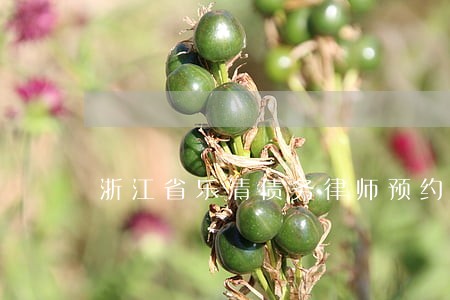 浙江省乐清债务律师预约 浙江省乐清债务律师预约