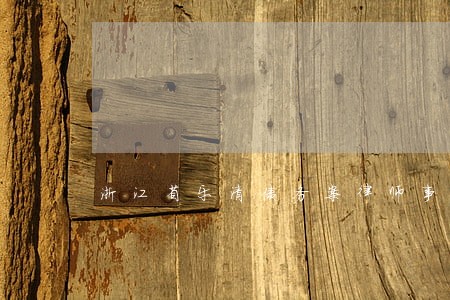 浙江省乐清债务案律师事务所 浙江省乐清债务案律师事务所