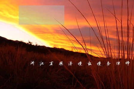 浙江省乐清债权债务律师事务所 浙江省乐清债权债务律师事务所