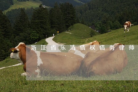 浙江省乐清债权债务律师多少钱 浙江省乐清债权债务律师多少钱