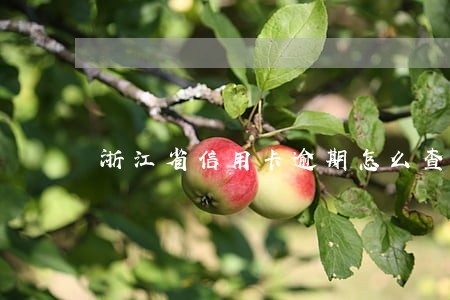 浙江省信用卡逾期怎么查信用卡 浙江省信用卡逾期怎么查信用卡