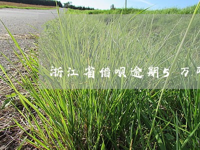 浙江省借呗逾期5万可以借钱吗 浙江省借呗逾期5万可以借钱吗