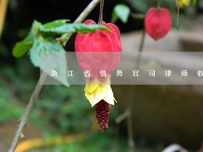 浙江省债务官司律师收费 浙江省债务官司律师收费