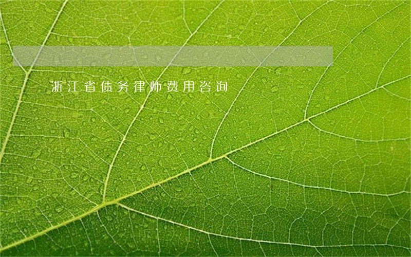 浙江省债务律师费用咨询 浙江省债务律师费用咨询