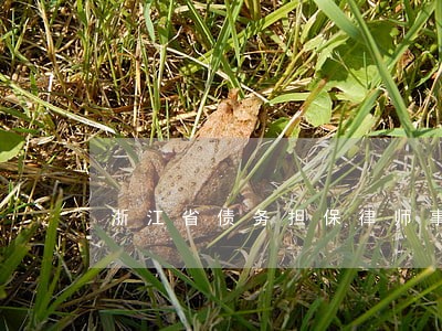 浙江省债务担保律师事务所 浙江省债务担保律师事务所