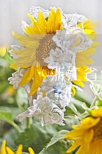 浙江省债务担保律师哪里找 浙江省债务担保律师哪里找