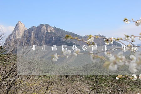 浙江省债务案律师哪里找 浙江省债务案律师哪里找