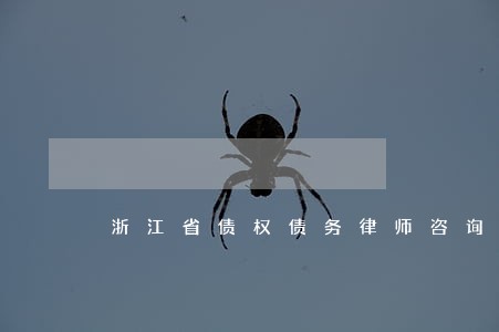 浙江省债权债务律师咨询 浙江省债权债务律师咨询