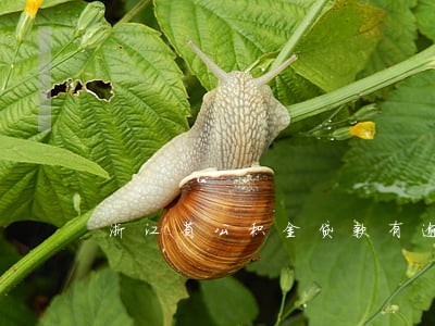 浙江省公积金贷款有逾期3 浙江省公积金贷款有逾期3
