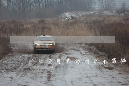 浙江省可靠的网络犯罪辩护律师 浙江省可靠的网络犯罪辩护律师