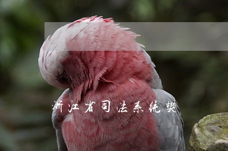 浙江省司法系统樊 浙江省司法系统樊