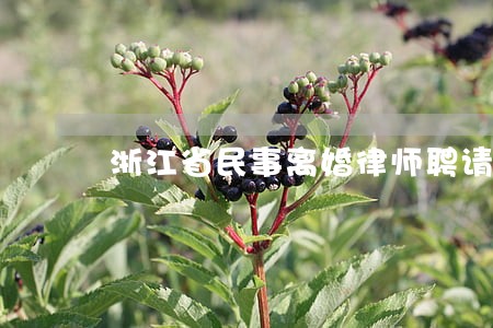 浙江省民事离婚律师聘请流程 浙江省民事离婚律师聘请流程