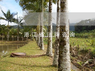 浙江省法律咨询 浙江省法律咨询