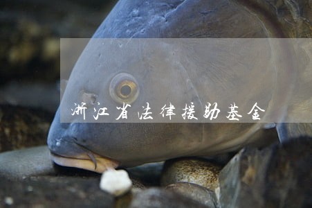 浙江省法律援助基金 浙江省法律援助基金