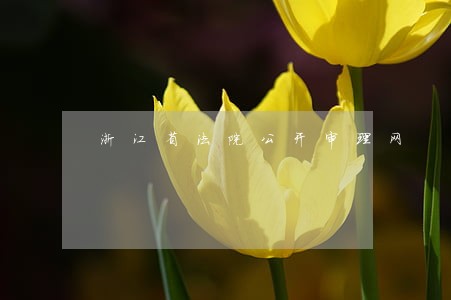 浙江省法院公开审理网