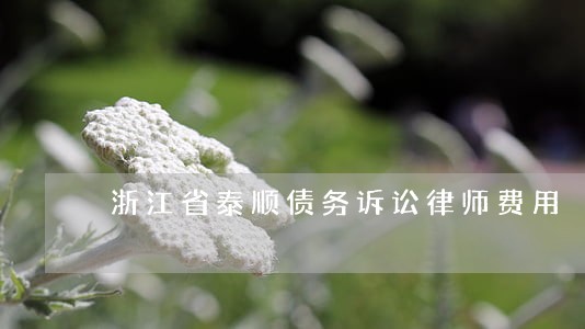 浙江省泰顺债务诉讼律师费用 浙江省泰顺债务诉讼律师费用