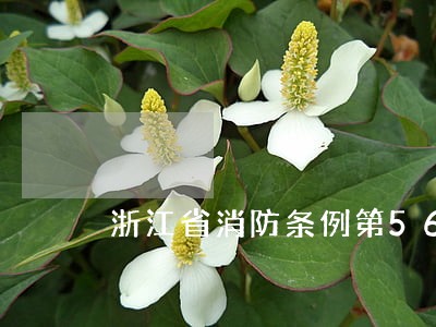 浙江省消防条例第56条处罚 浙江省消防条例第56条处罚