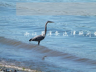 浙江省淳安法律顾问费用 浙江省淳安法律顾问费用