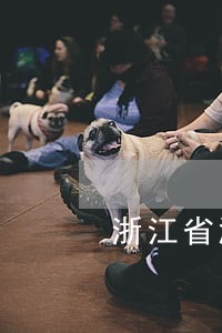 浙江省温州市政府违法 浙江省温州市政府违法