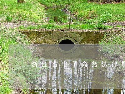 浙江省电子商务法律顾问 浙江省电子商务法律顾问