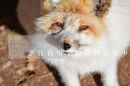 浙江省电子税务局逾期申报模块 浙江省电子税务局逾期申报模块