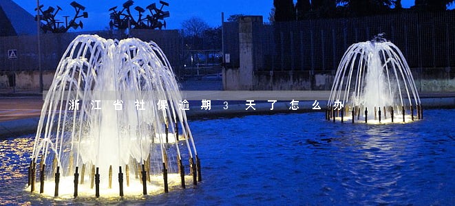 浙江省社保逾期3天了怎么办 浙江省社保逾期3天了怎么办