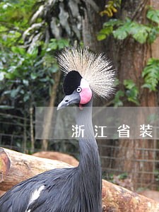 浙江省装修逾期违约金 浙江省装修逾期违约金