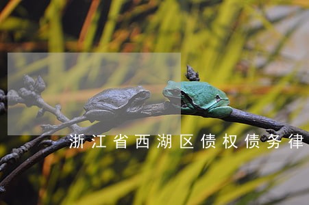 浙江省西湖区债权债务律师电话 浙江省西湖区债权债务律师电话