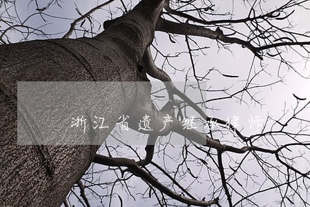 浙江省遗产继承律师 浙江省遗产继承律师
