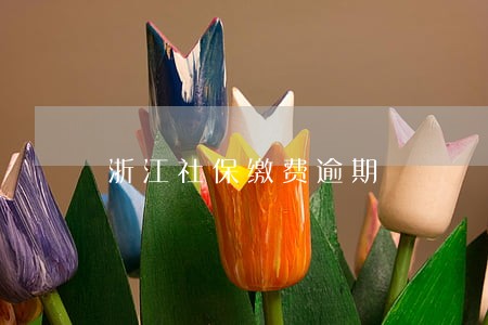 浙江社保缴费逾期