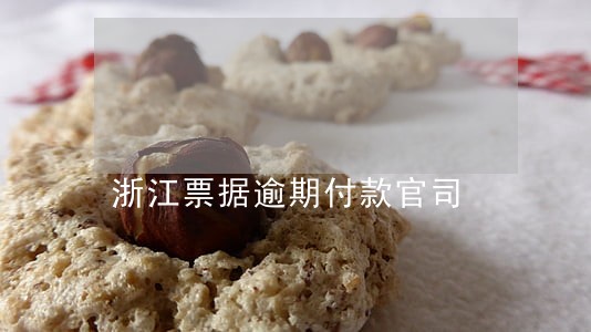 浙江票据逾期付款官司 浙江票据逾期付款官司