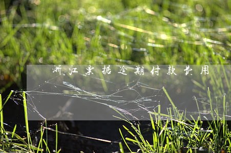 浙江票据逾期付款费用 浙江票据逾期付款费用