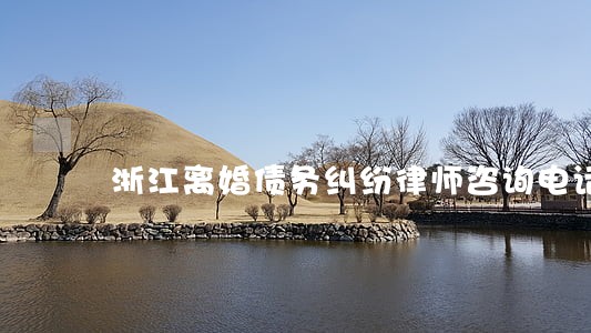 浙江离婚债务纠纷律师咨询电话 浙江离婚债务纠纷律师咨询电话