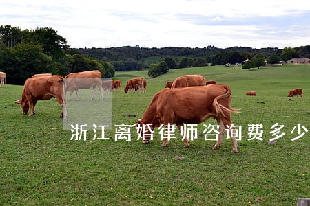 浙江离婚律师咨询费多少 浙江离婚律师咨询费多少