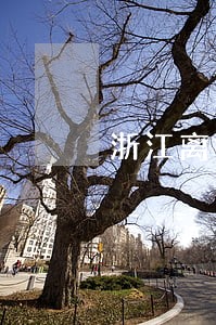浙江离婚找律师要多少钱 浙江离婚找律师要多少钱