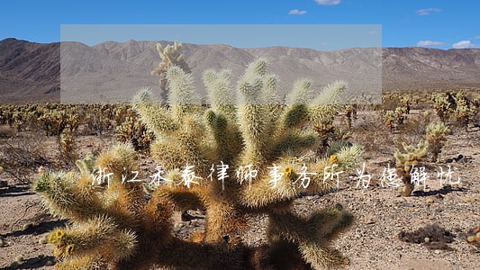 浙江禾泰律师事务所为您解忧