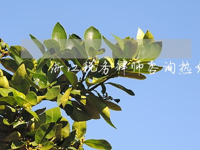 浙江税务律师咨询热线 浙江税务律师咨询热线