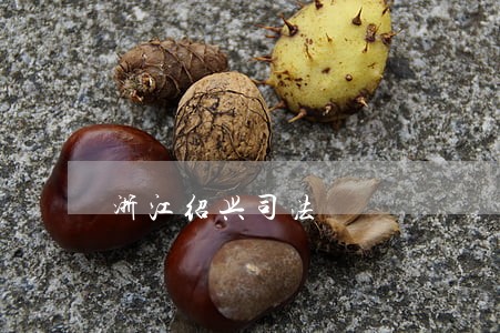 浙江绍兴司法 浙江绍兴司法