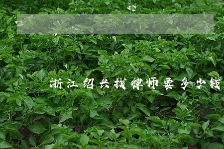 浙江绍兴找律师要多少钱 浙江绍兴找律师要多少钱
