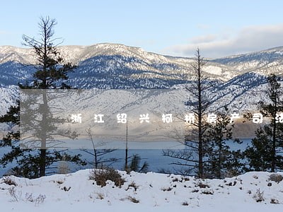 浙江绍兴柯桥房产司法拍卖