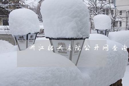 浙江绍兴法院公开网查询 浙江绍兴法院公开网查询