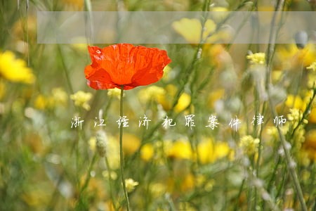 浙江经济犯罪案件律师 浙江经济犯罪案件律师
