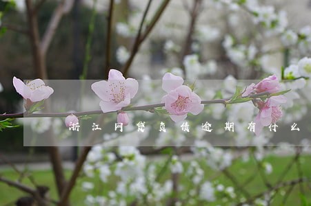 浙江网贷负债逾期有什么后果 浙江网贷负债逾期有什么后果