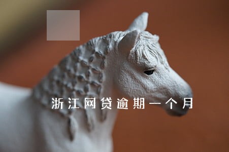 浙江网贷逾期一个月