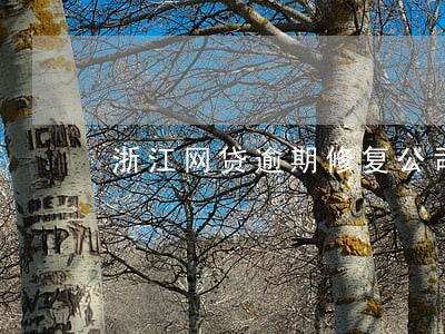 浙江网贷逾期修复公司 浙江网贷逾期修复公司